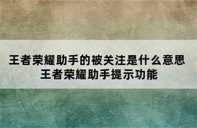 王者荣耀助手的被关注是什么意思 王者荣耀助手提示功能